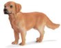Hunde 1:12