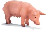 Schwein stehend 13288 von Schleich