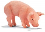 Ferkel fressend 13290 von Schleich