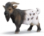 Zwergziegenbock 13602 von Schleich