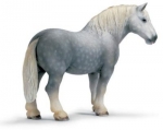 Percheron Hengst 13623 von Schleich