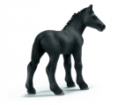Percheron Fohlen 13627 von Schleich