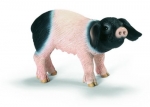 Schw�bisch H�llisches Ferkel 13636 von Schleich