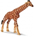 Giraffenbaby 14321 von Schleich