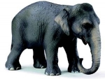 Asiatische Elefantenkuh 14344 von Schleich