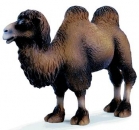 Trampeltier 14348 von Schleich