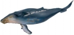 Buckelwal 16083 von Schleich