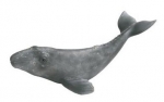 Grauwalkalb 16094 von Schleich