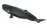 Pottwalkalb 16095 von Schleich