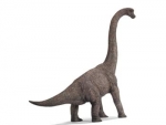 Brachiosaurus 16458 von Schleich