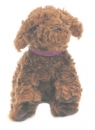 Nintendogs Pl�sch Hund Zwergpudel - Nintend�gs